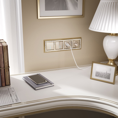 Розетка с заземлением (шампань) СУ IP20 Werkel