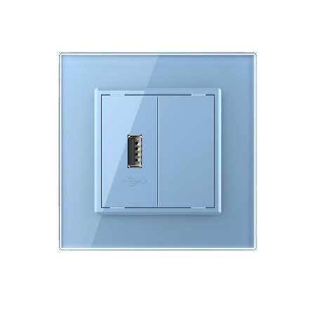 Розетка USB с блоком 5В 2.1А Синяя Livolo