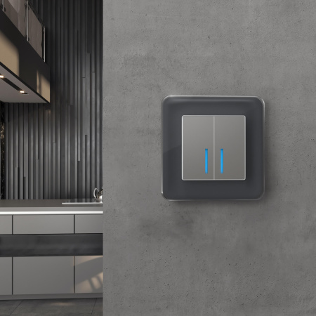 Elite Рамка из стекла на 1 пост графит Werkel