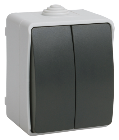 Выключатель 2-клавишный для ОУ ВС20-2-0-ФСр ФОРС IP54 IEK