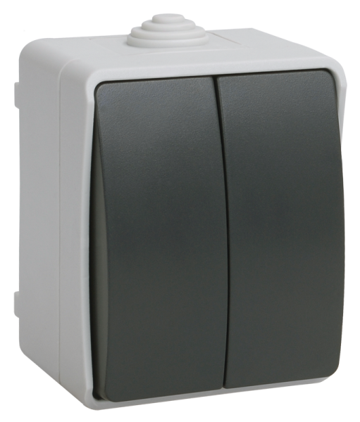 Выключатель 2-клавишный для ОУ ВС20-2-0-ФСр ФОРС IP54 IEK