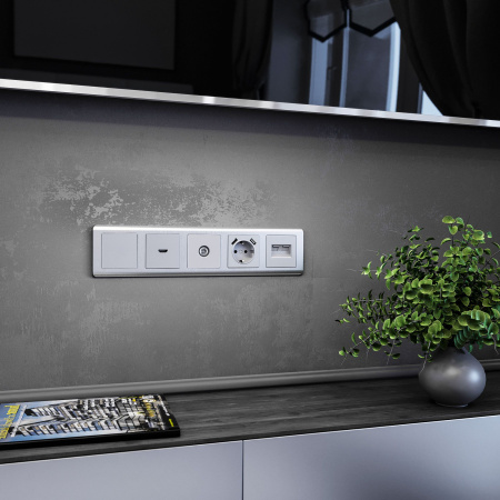 Заглушка (серебряный) СУ IP20 Werkel