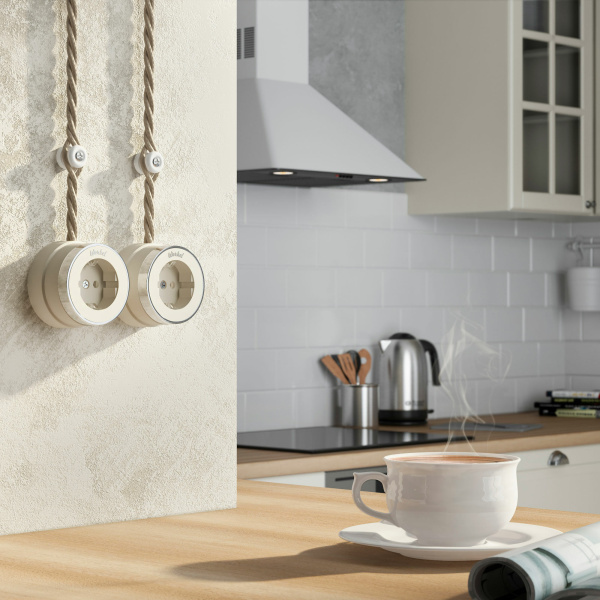 Розетка с заземлением (слоновая кость матовый/хром) Vintage ОУ IP20 Werkel