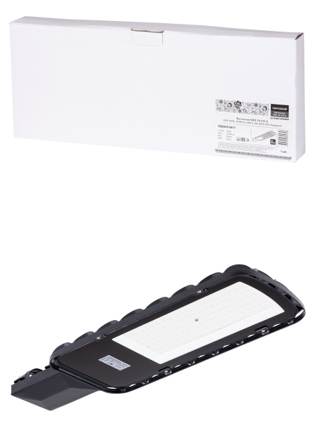 Светильник СКУ-04-100-Д DOB 100 Вт, 10 000 лм, 5000 К, 200-260 В, IP65, Народный TDM