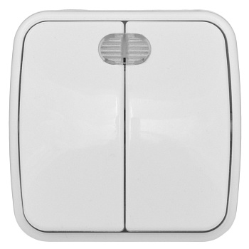 Минск Выключатель 2-клавишный ОП 10А с индикатором белый Basic EKF