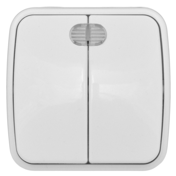 Минск Выключатель 2-клавишный ОП 10А с индикатором белый Basic EKF