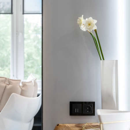 Встраиваемые механизмы Розетка СУ 1 мест.(земля.шторки) 16А черный матовый IP44 Werkel