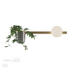 Настенный св-к E14 1*40W 220V FLOWER золото/белый ODEON LIGHT