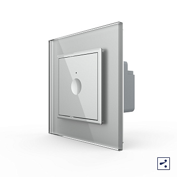 Одноклавишный проходной сенсорный выключатель Module, цвет серый Livolo